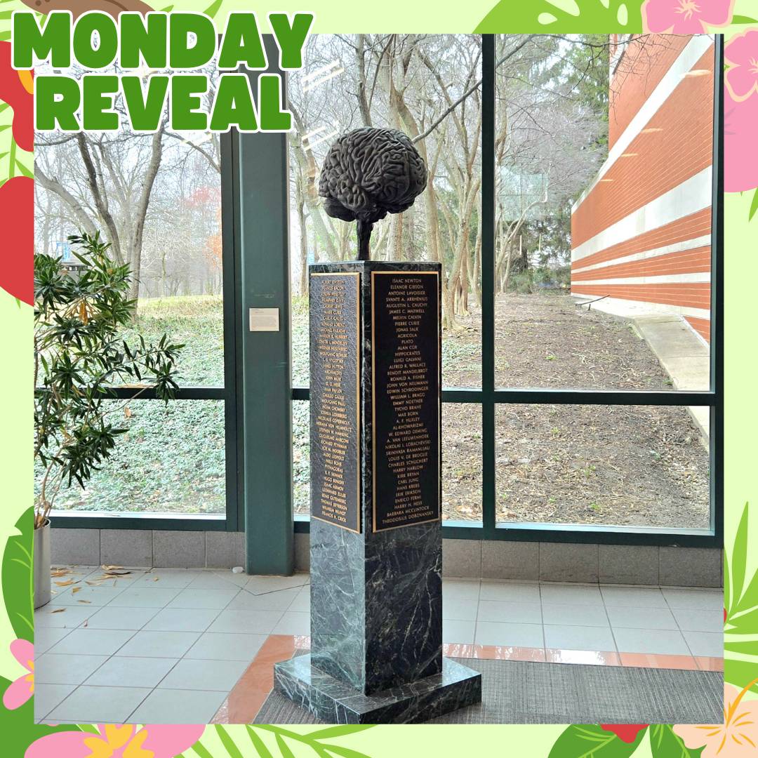 Brain sculpture in Padnos Center for Science